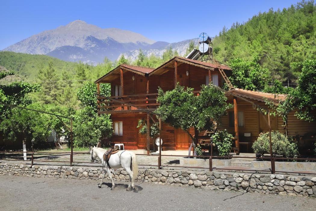 Oranj Ranch Hotel Kemer Exterior photo